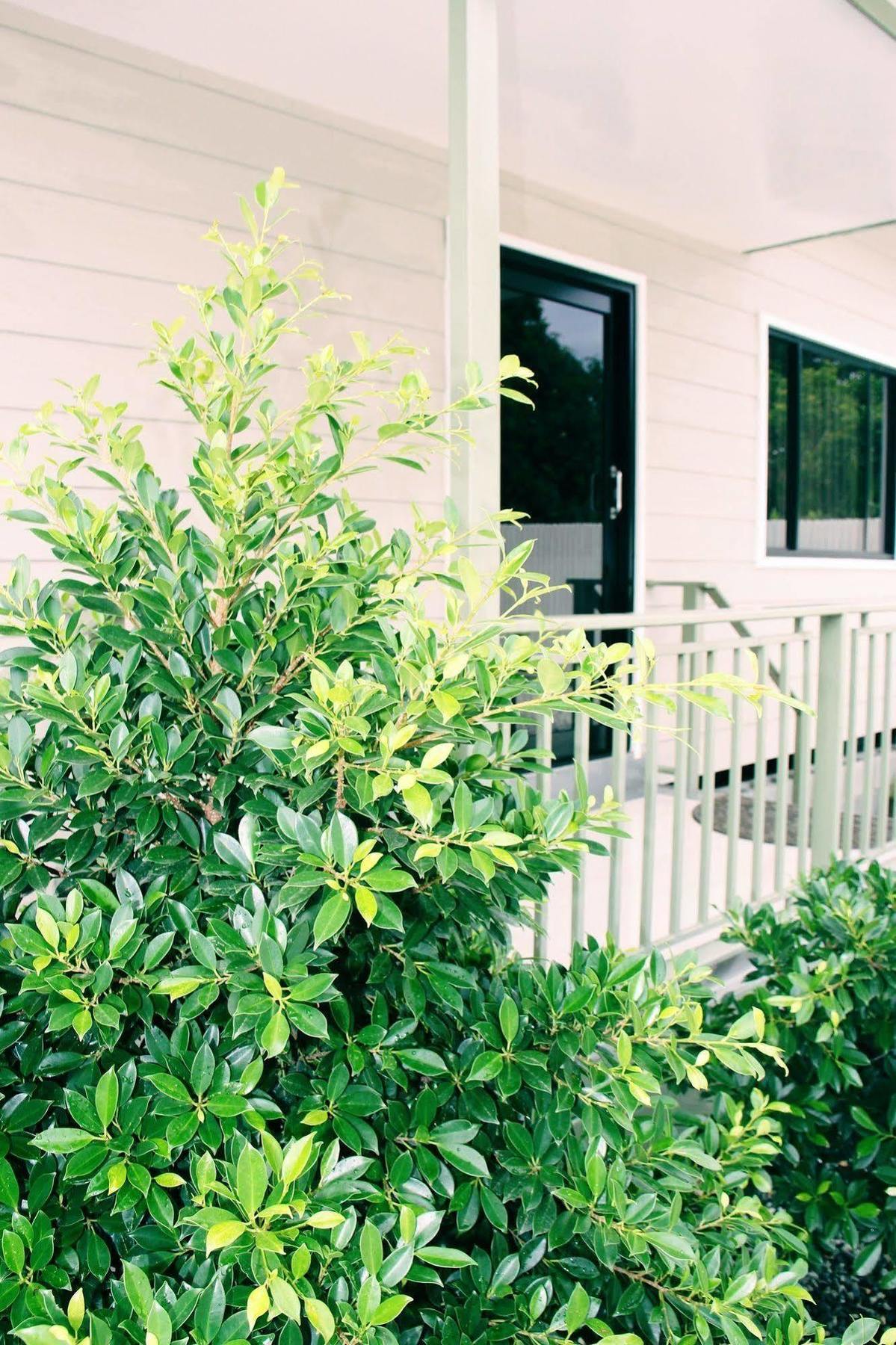 Citi Serviced Apartments & Motel - Lagatoi Place Port Moresby Esterno foto